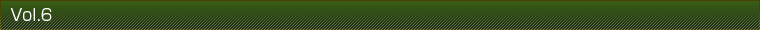 Vol.6